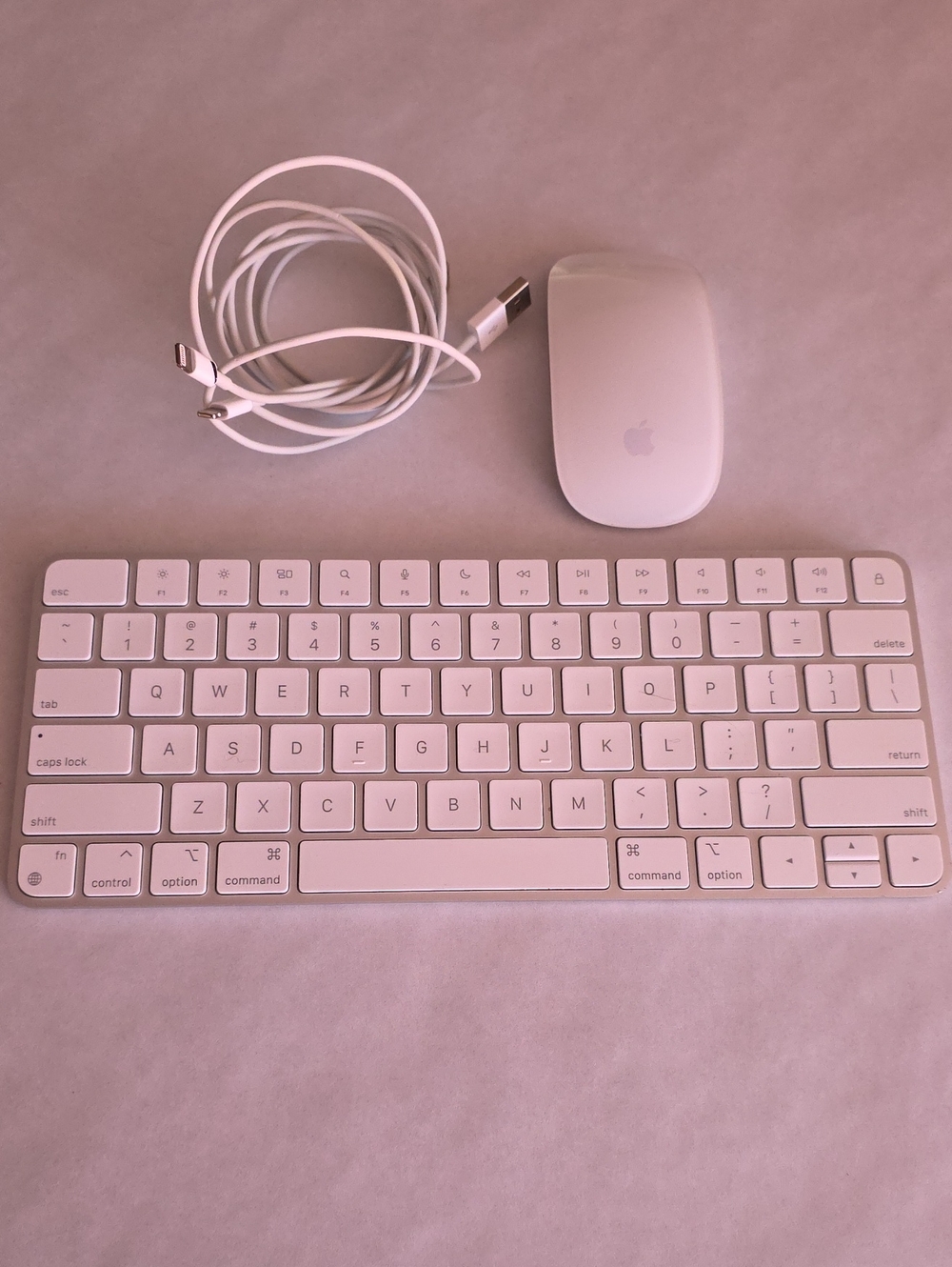 Apple Wireless Magic Keyboard & Magic Mouse Bundle with Charging Cables